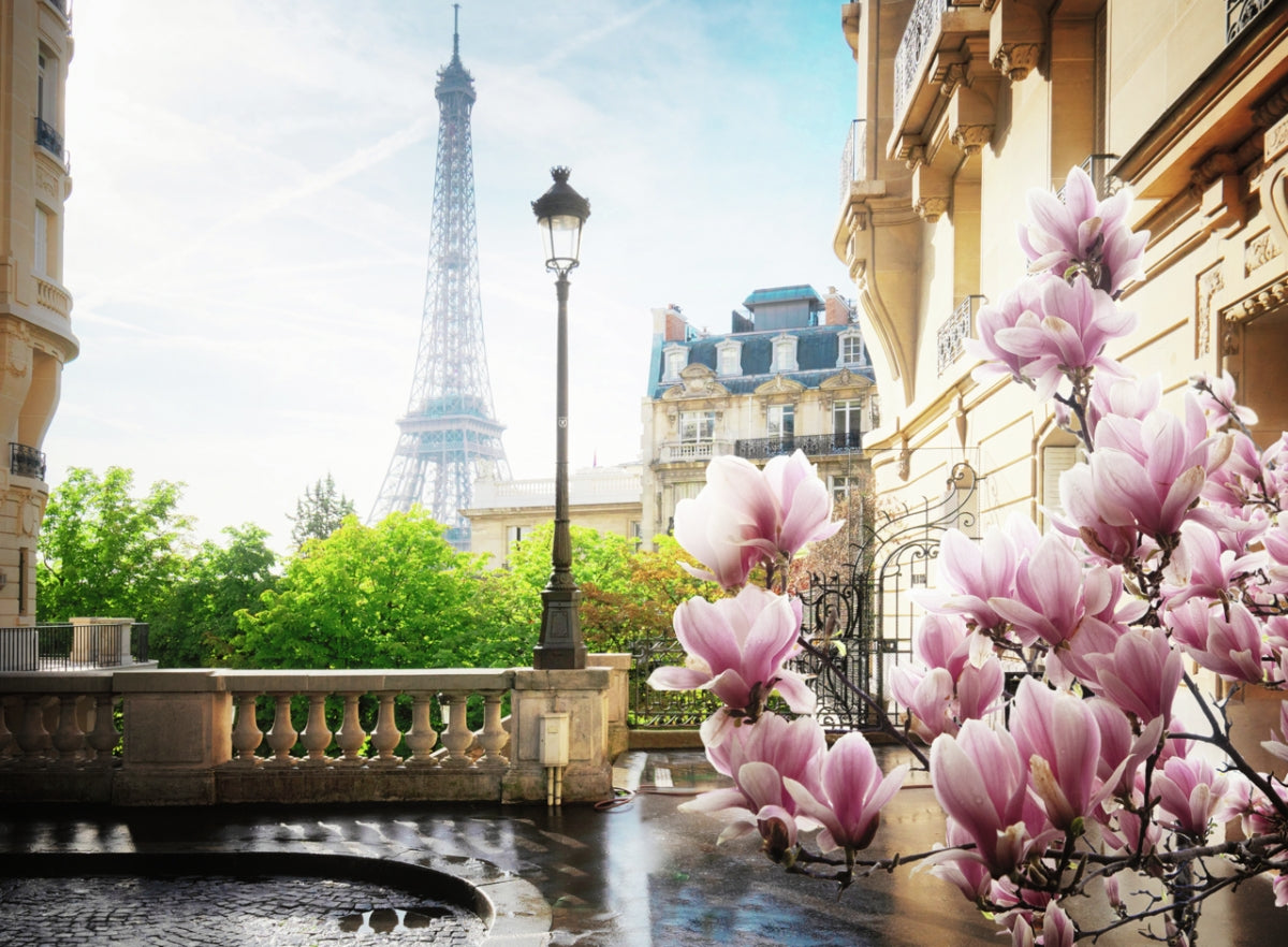 Springtime in Paris (500)